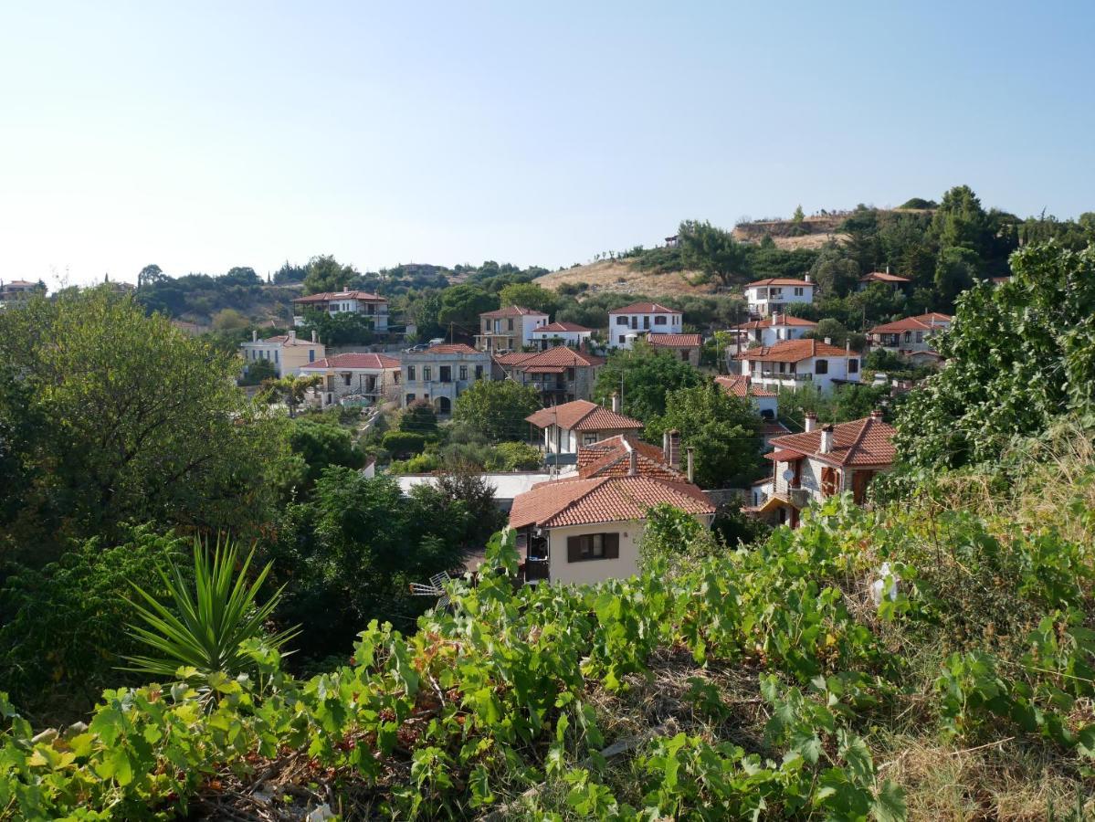 Casa Di Grigoris Villa นิกิติ ภายนอก รูปภาพ