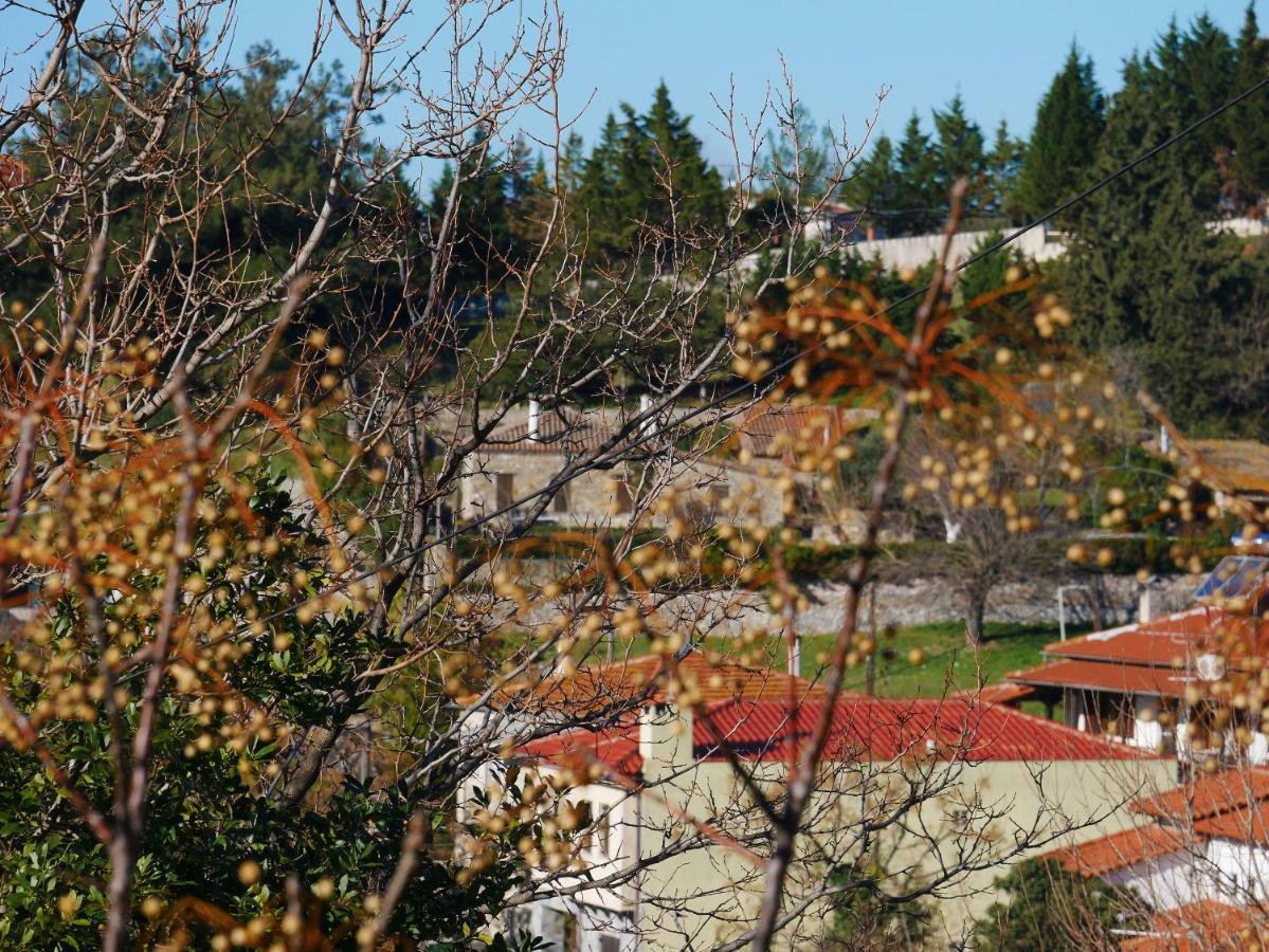 Casa Di Grigoris Villa นิกิติ ภายนอก รูปภาพ